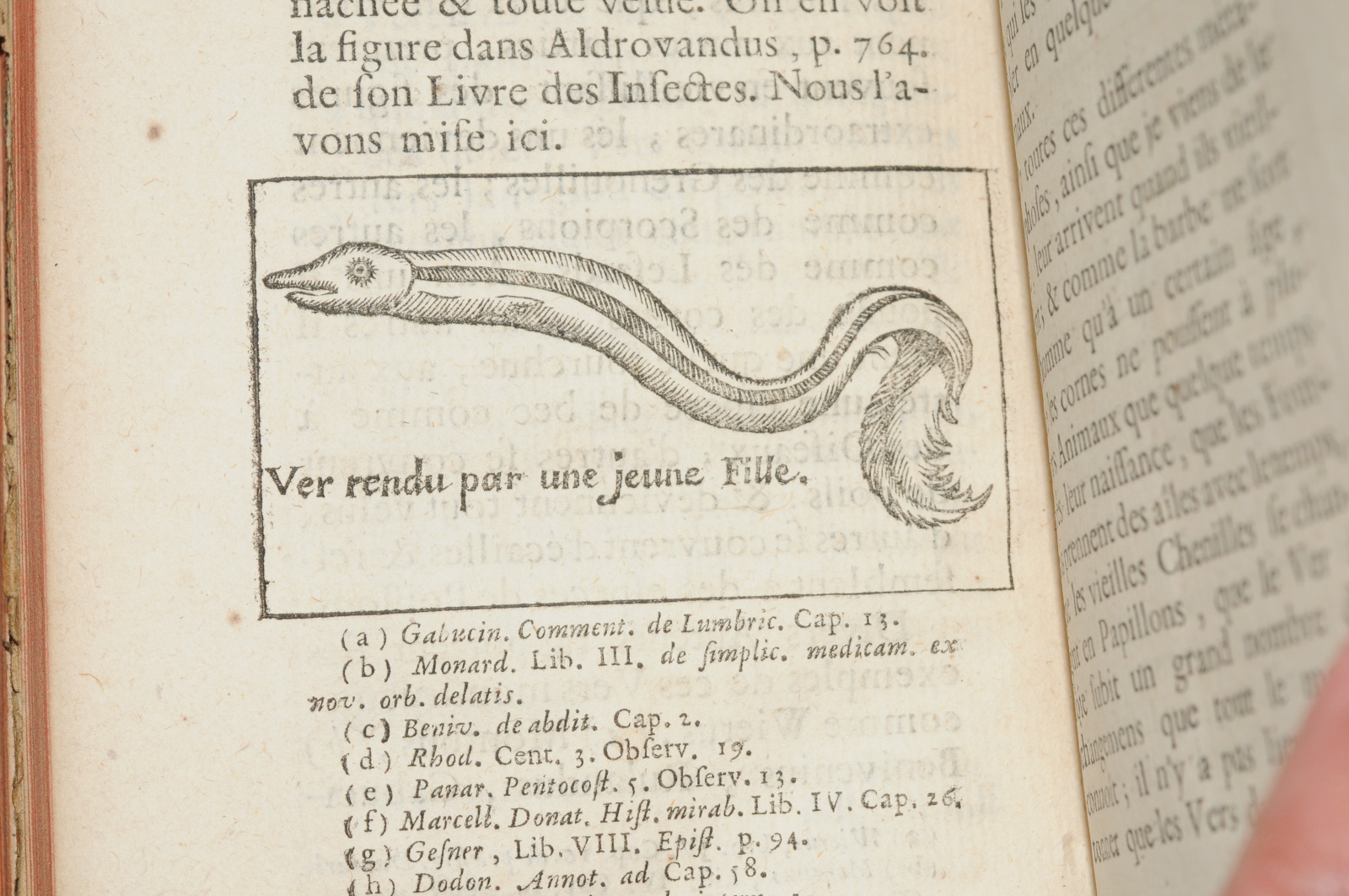 ANDRY, De La Génération des vers dans le corps de l'Homme, 1741